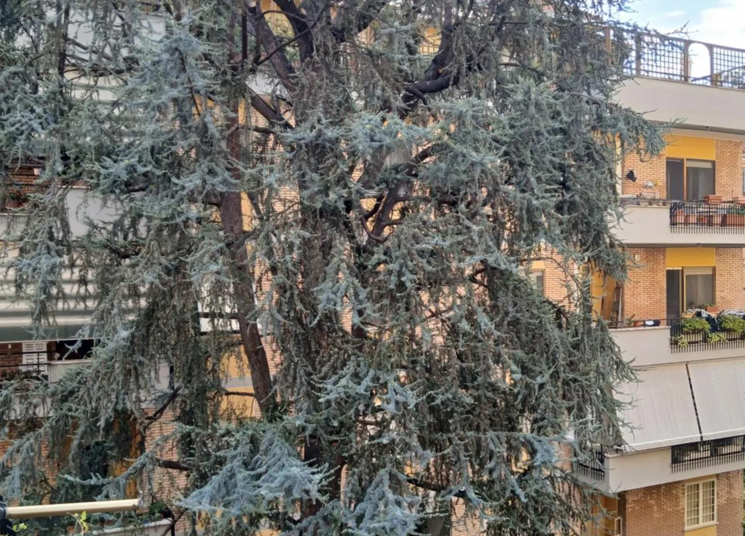 La casa di Antonella e Giuseppe Romano 0*, Roma Italia
